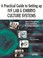 Cover of: Practical Guide To Setting Up Ivf Lab And Embryo Culture Systems