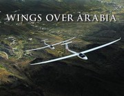 Cover of: Wings Over Arabia