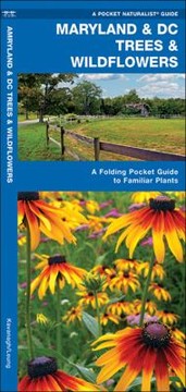 Cover of: Maryland Dc Trees Wildflowers An Introduction To Familiar Species