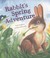 Cover of: Rabbits Spring Adventure