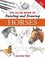 Cover of: The Allen Book Of Painting And Drawing Horses