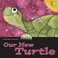 Cover of: Lets Take Care Of Our New Turtle