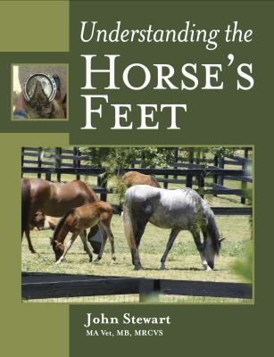 Understanding The Horses Feet