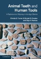 Cover of: Animal Teeth And Human Tools A Taphonomic Odyssey In Ice Age Siberia