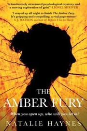 The Amber Fury cover