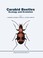 Cover of: Carabid Beetles Ecology And Evolution