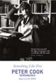 Cover of: SOMETHING LIKE FIRE by PETER COOK