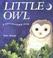 Cover of: Little Owl