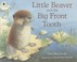 Cover of: Little Beaver And The Big Front Tooth