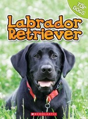 Cover of: Labrador Retriever by 