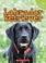 Cover of: Labrador Retriever