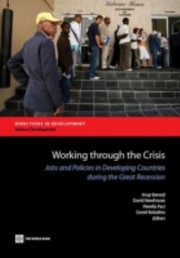 Cover of: Working Through The Crisis Jobs And Policies In Developing Countries During The Great Recession