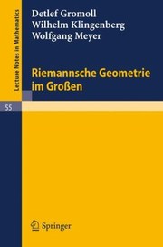 Cover of: Riemannsche Geometrie Im Grossen