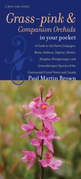 Cover of: Grasspinks Companion Orchids In Your Pocket