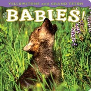 Cover of: Yellowstone And Grand Teton Babies