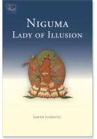 Cover of: Niguma Lady Of Illusion