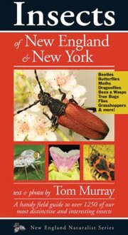 Cover of: Insects Of New England New York