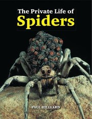 Cover of: The Private Life Of Spiders