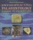 Cover of: Introducing Palaeontology A Guide To Ancient Life