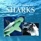 Cover of: Little Book Of Sharks