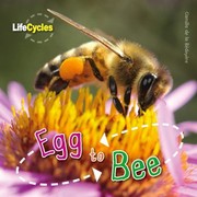 Cover of: Egg To Bee by 