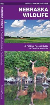 Cover of: Nebraska Wildlife An Introduction To Familiar Species by 