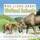 Cover of: Wetland Animals