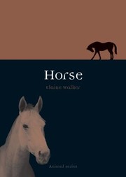 Cover of: Horse