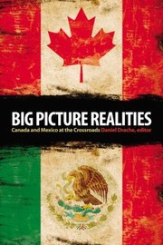 Cover of: Big Picture Realities Canada And Mexico At The Crossroads