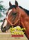 Cover of: Northern Dancer King Of The Racetrack