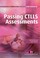 Cover of: Passing Ctlls Assessments