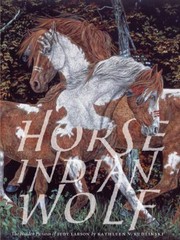 Cover of: Horse Indian Wolf The Hidden Pictures Of Judy Larson