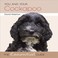 Cover of: You And Your Cockapoo The Essential Guide