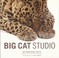 Cover of: Big Cat Studio