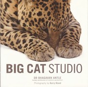 Big Cat Studio by Barry Bland