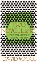 Two Novellas In The Sanatorium Facing The Sea by David Vogel