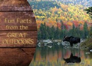 Cover of: Fun Facts From The Great Outdoors