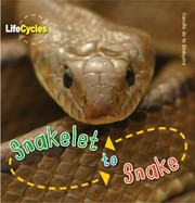 Snakelet to snake by Camilla De la Bédoyère