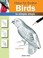 Cover of: How To Draw Birds In Simple Steps