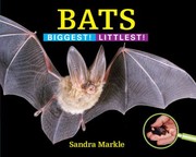 Cover of: Bats Biggest Littlest