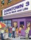 Cover of: Downtown 3 English For Work And Life