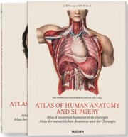Atlas Of Human Anatomy by Jean-Marie Le Minor