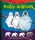 Cover of: How To Draw Baby Animals