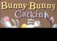 Cover of: Bunny Bunny Catkin