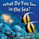 Cover of: What Do You See In The Sea