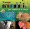 Cover of: Los Animales de la Granja  Farm Animals
            
                Mi Pequeno Animalario