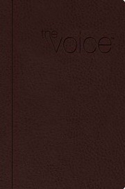Cover of: Voice BibleVC