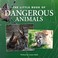 Cover of: Little Book Of Dangerous Animals