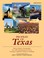 Cover of: Profiles Of Texas