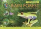 Cover of: Rain Forest A Journey From The River To The Treetops